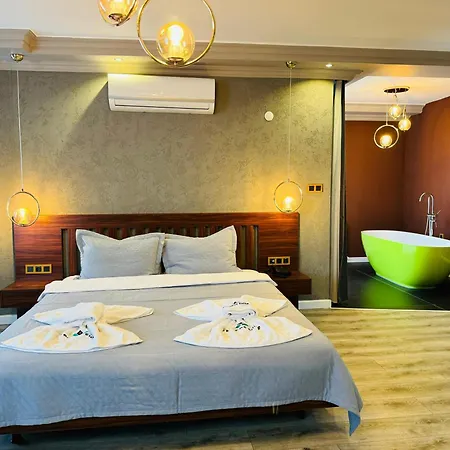 酒店 Treekos Boutique Istanbul Airport Karaburun (Arnavutkoy)