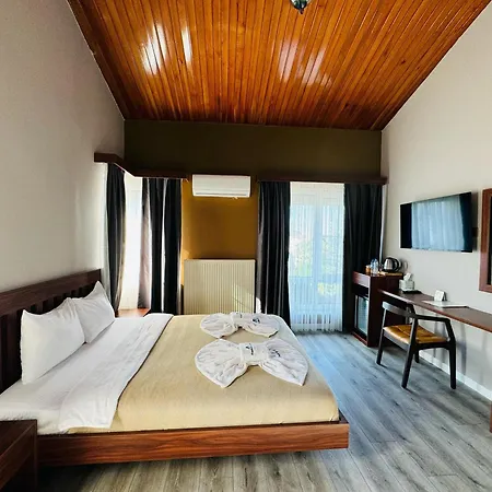 Treekos Boutique Istanbul Airport 酒店 4*