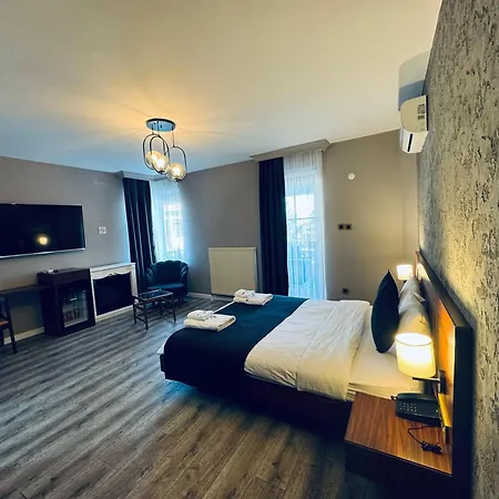 酒店 Treekos Boutique Istanbul Airport