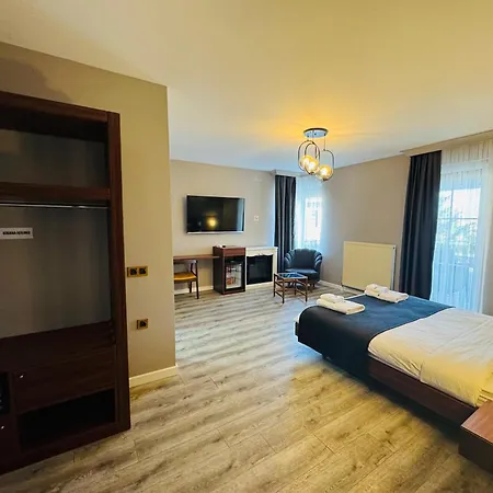 酒店 Treekos Boutique Istanbul Airport Karaburun (Arnavutkoy)