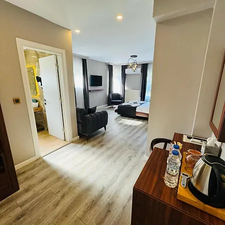 Treekos Boutique Istanbul Airport 酒店 4*