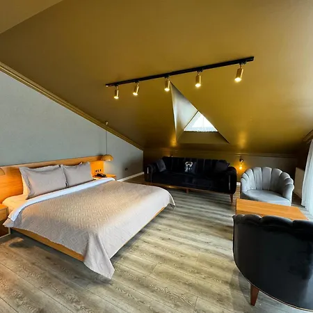 酒店 Treekos Boutique Istanbul Airport 4*
